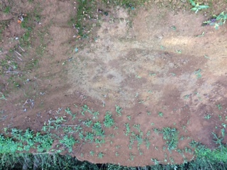 images/news/infilltrationbasin.jpg